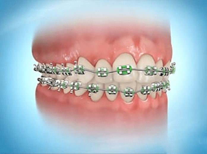 Totara Orthodontists